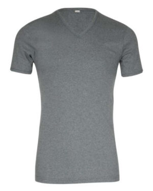 Tee-shirt coton EMINENCE col V gris 318em