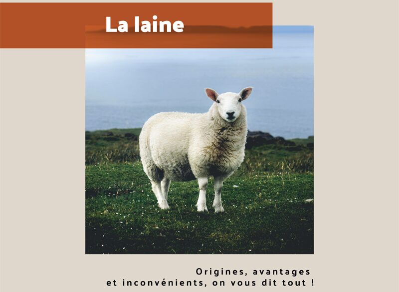 Les secrets de la laine